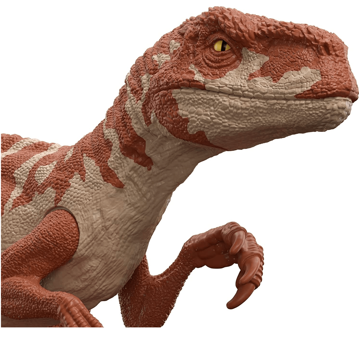 Dinossauro Atrociraptor Jurassic World Mattel Fátima Criança 