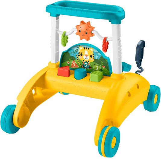 Andador de Dois Lados Primeiros Passos Fisher-Price Mattel