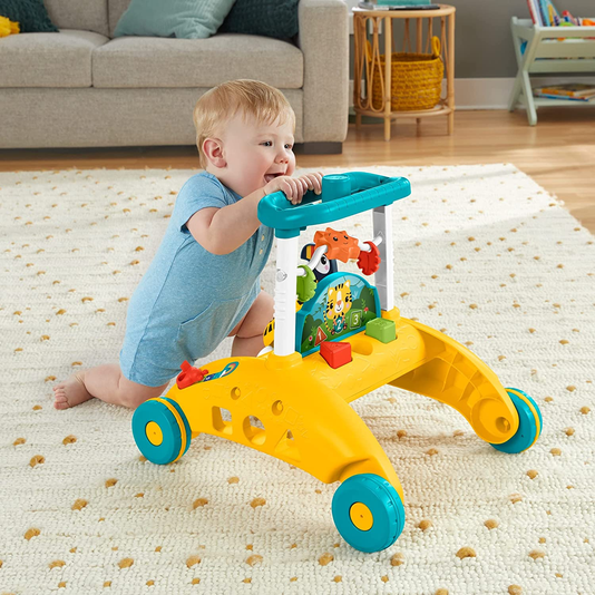 Andador de Dois Lados Primeiros Passos Fisher-Price Mattel