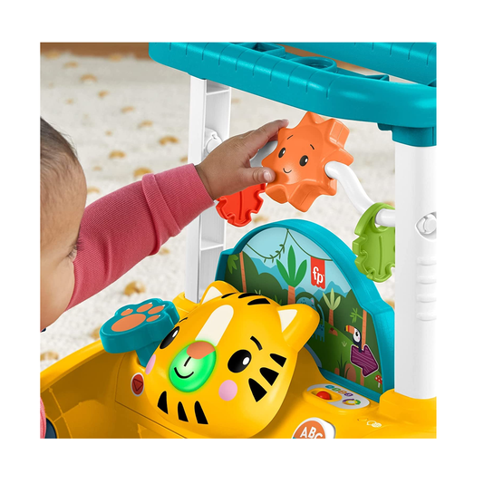 Andador de Dois Lados Primeiros Passos Fisher-Price Mattel