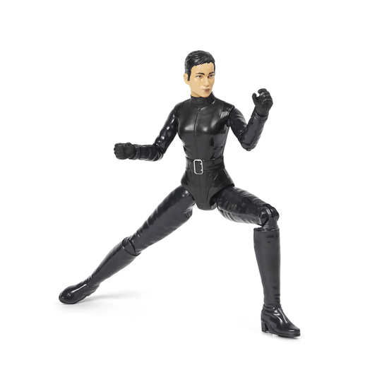 Boneca de Ação Mulher Gato Selina Kyle DC Sunny