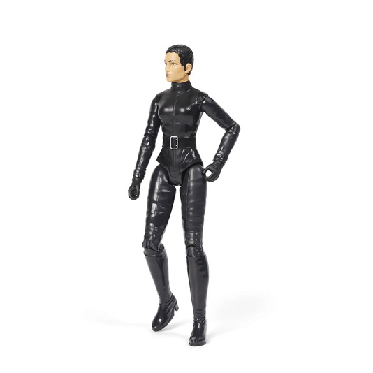 Boneca de Ação Mulher Gato Selina Kyle DC Sunny