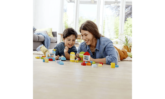 Caixa de Peças Lego Duplo
