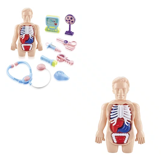 Conjunto Aprendendo Medicina Pimpi 