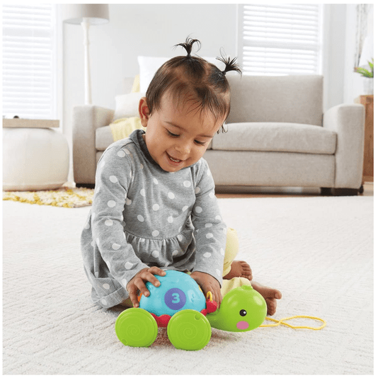 Empurra Tartatuga Fisher-Price