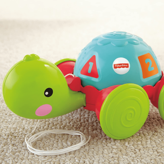 Empurra Tartatuga Fisher-Price