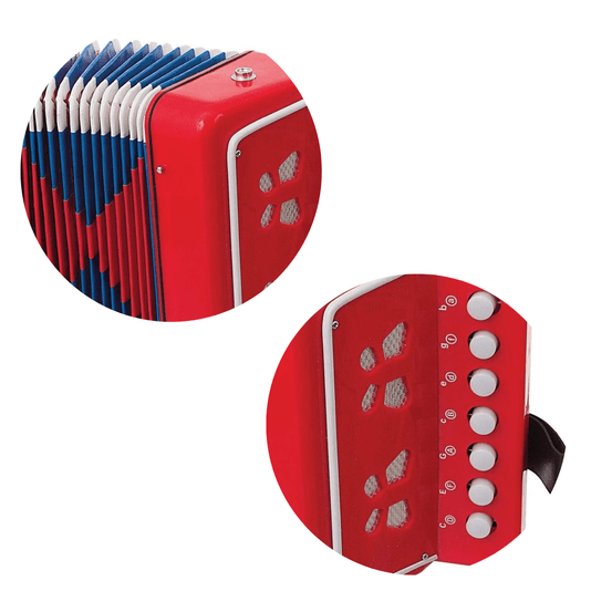 Meu Primeiro Acordeon Shiny Toys