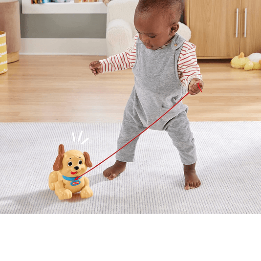 Meu Primeiro Cachorrinho Fisher-Price