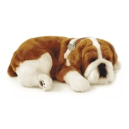 Pelúcia Que Respira Cachorro Bulldog Me Adote Perfect Petzzz