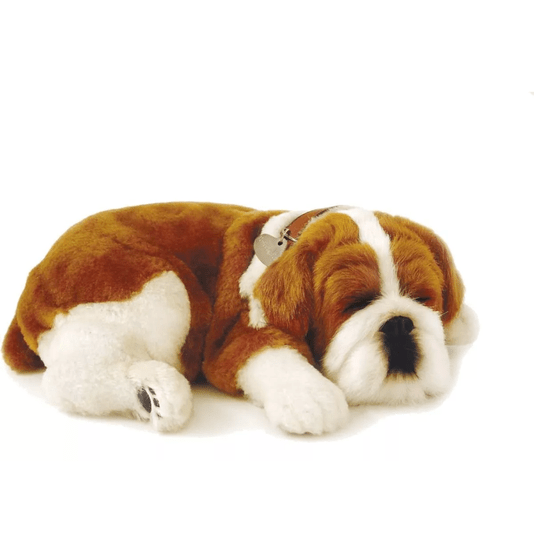 Pelúcia Que Respira Cachorro Bulldog Me Adote Perfect Petzzz