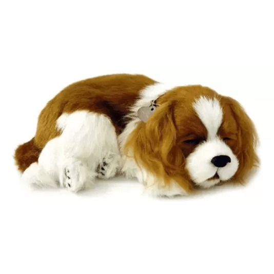 Pelúcia Que Respira Cachorro Cavalier king Charles Me Adote Perfect Petzzz