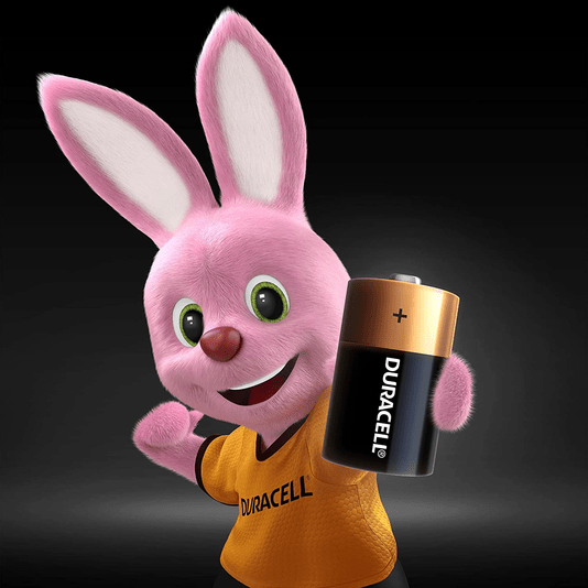 Pilha Alcalina D com 2 Unidades Duracell