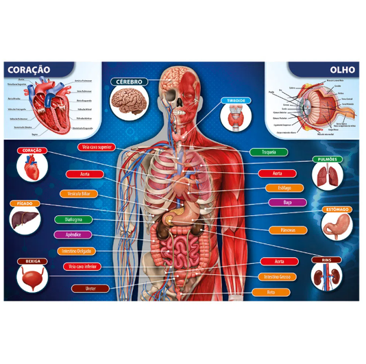 Puzzle Corpo Humano 200 Peças Grow