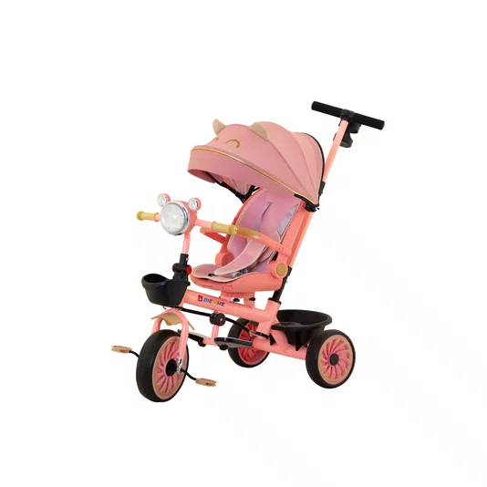 Triciclo Teddy Rosa Biemme