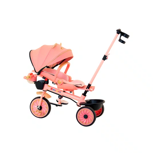 Triciclo Teddy Rosa Biemme