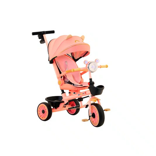 Triciclo Teddy Rosa Biemme