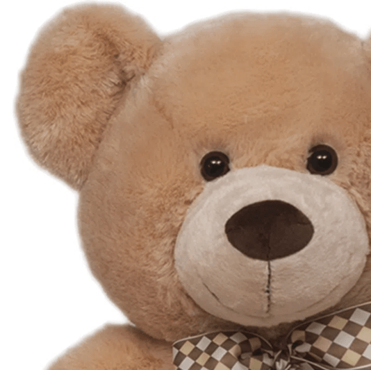 Urso de Pelúcia James Tamanho G Buba