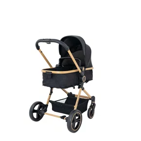 Carrinho de Bebê Moisés Passeio Ivy Gold Travel System Galzerano 