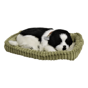 Pelúcia Que Respira Cachorro Border Collie Me Adote Perfect Petzzz