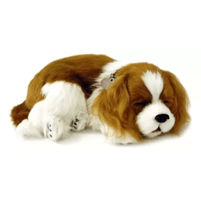 Pelúcia Que Respira Cachorro Cavalier king Charles Me Adote Perfect Petzzz