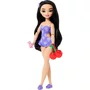 Boneca Barbie Dream Besties Praia Renee Mattel