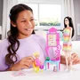 Boneca Barbie Profissões Professora Asiática Mattel 