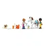 Clínica Veterinária dos Animais Lego Friends