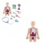 Conjunto Aprendendo Medicina Pimpi 