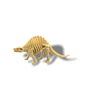 Dino Explorers Fun 