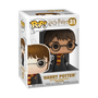 Harry Potter com Edwiges 31 Funko POP! Harry Potter Candide 