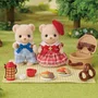Irmã e Irmão Urso Biscoito Um Piquenique Delicioso Sylvanian Families Epoch 