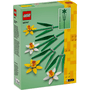 Narcisos Lego 