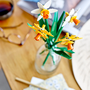 Narcisos Lego 