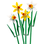 Narcisos Lego 