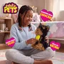 Pelúcia Adota Pets Toddy Multikids