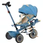 Triciclo Teddy Azul Biemme