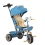 Triciclo Teddy Azul Biemme