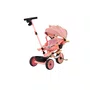 Triciclo Teddy Rosa Biemme