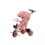 Triciclo Teddy Rosa Biemme