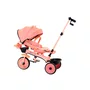Triciclo Teddy Rosa Biemme